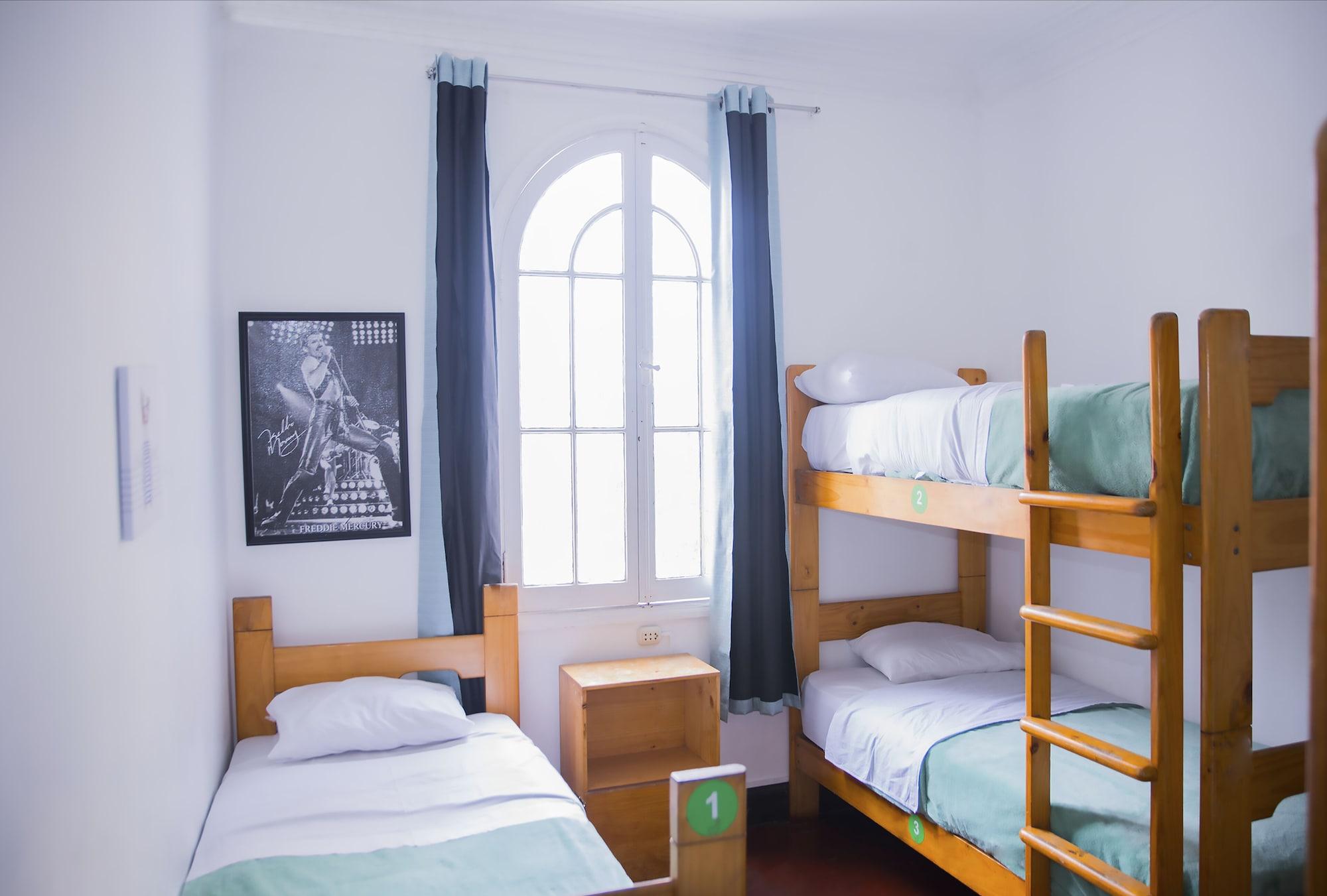 Red Llama Eco Hostel 利马 外观 照片