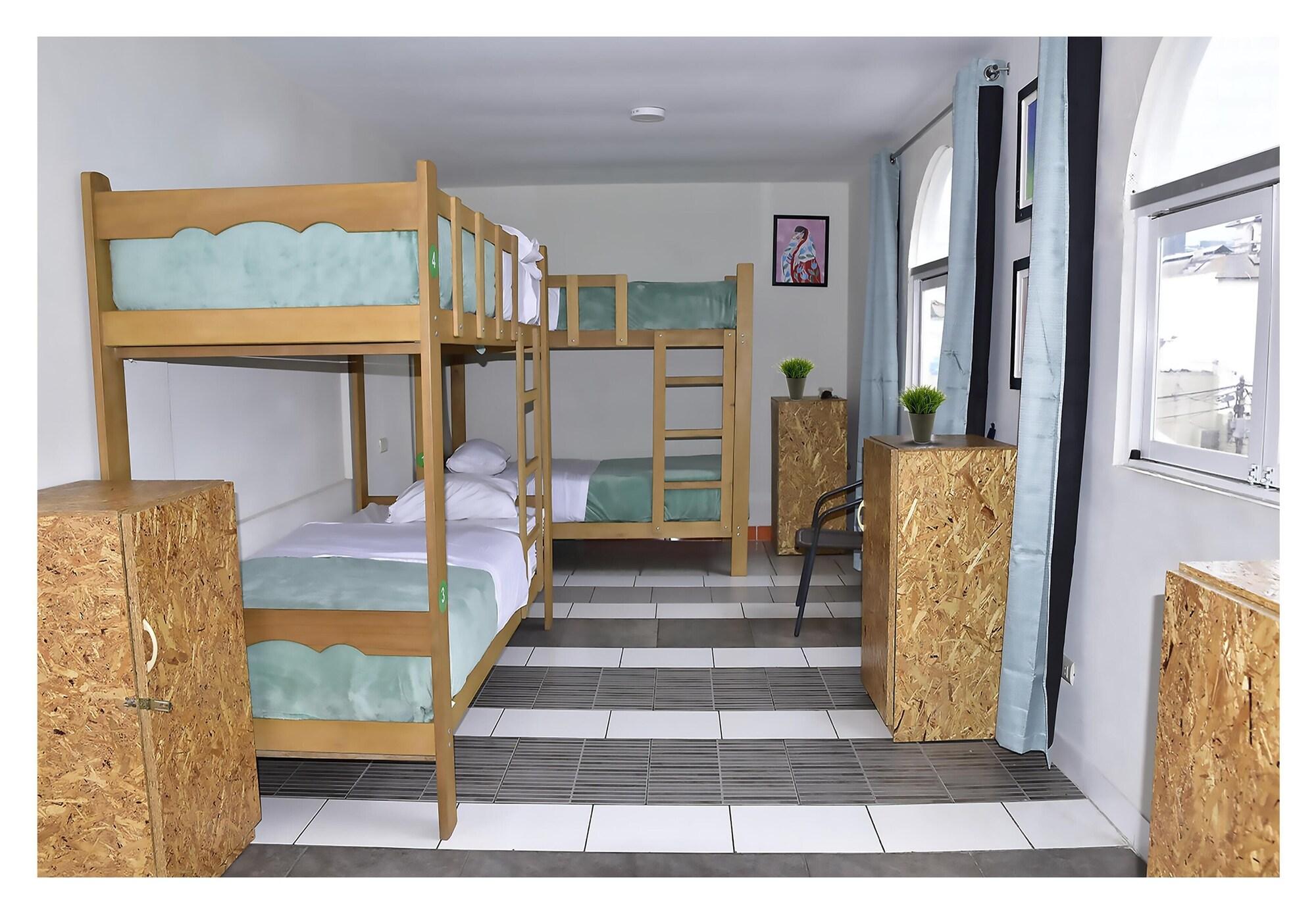Red Llama Eco Hostel 利马 外观 照片