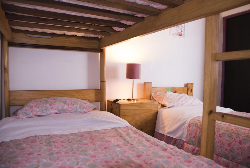 Red Llama Eco Hostel 利马 外观 照片