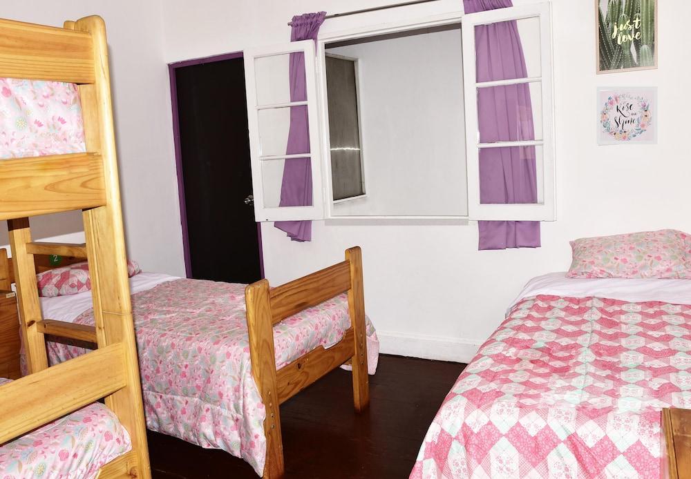 Red Llama Eco Hostel 利马 外观 照片