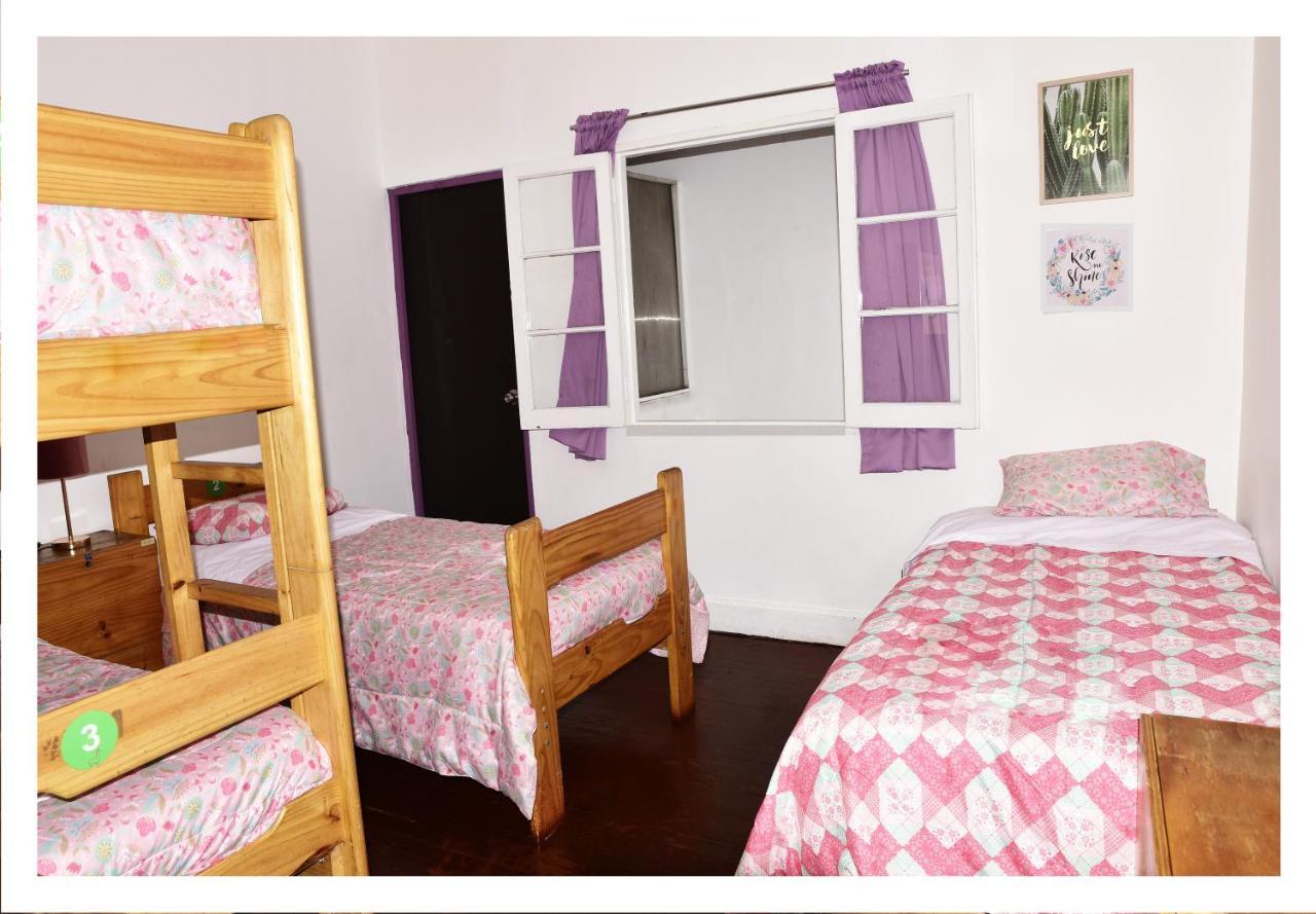 Red Llama Eco Hostel 利马 外观 照片