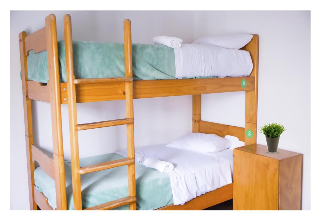 Red Llama Eco Hostel 利马 外观 照片