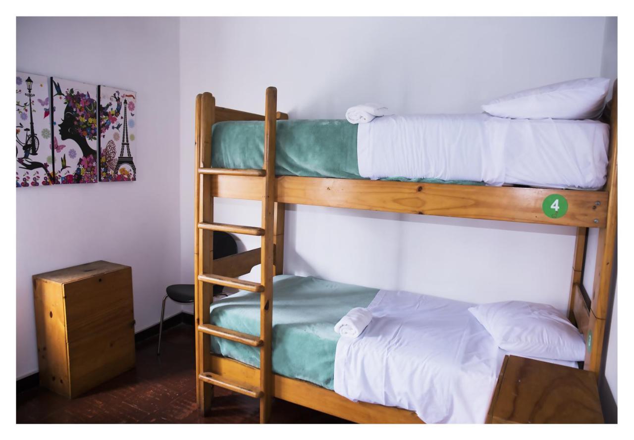 Red Llama Eco Hostel 利马 外观 照片