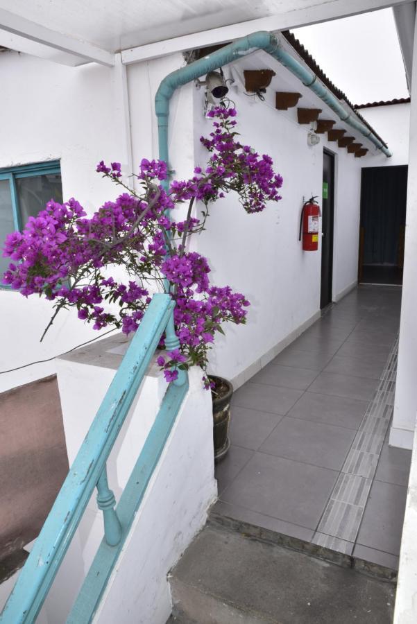 Red Llama Eco Hostel 利马 外观 照片