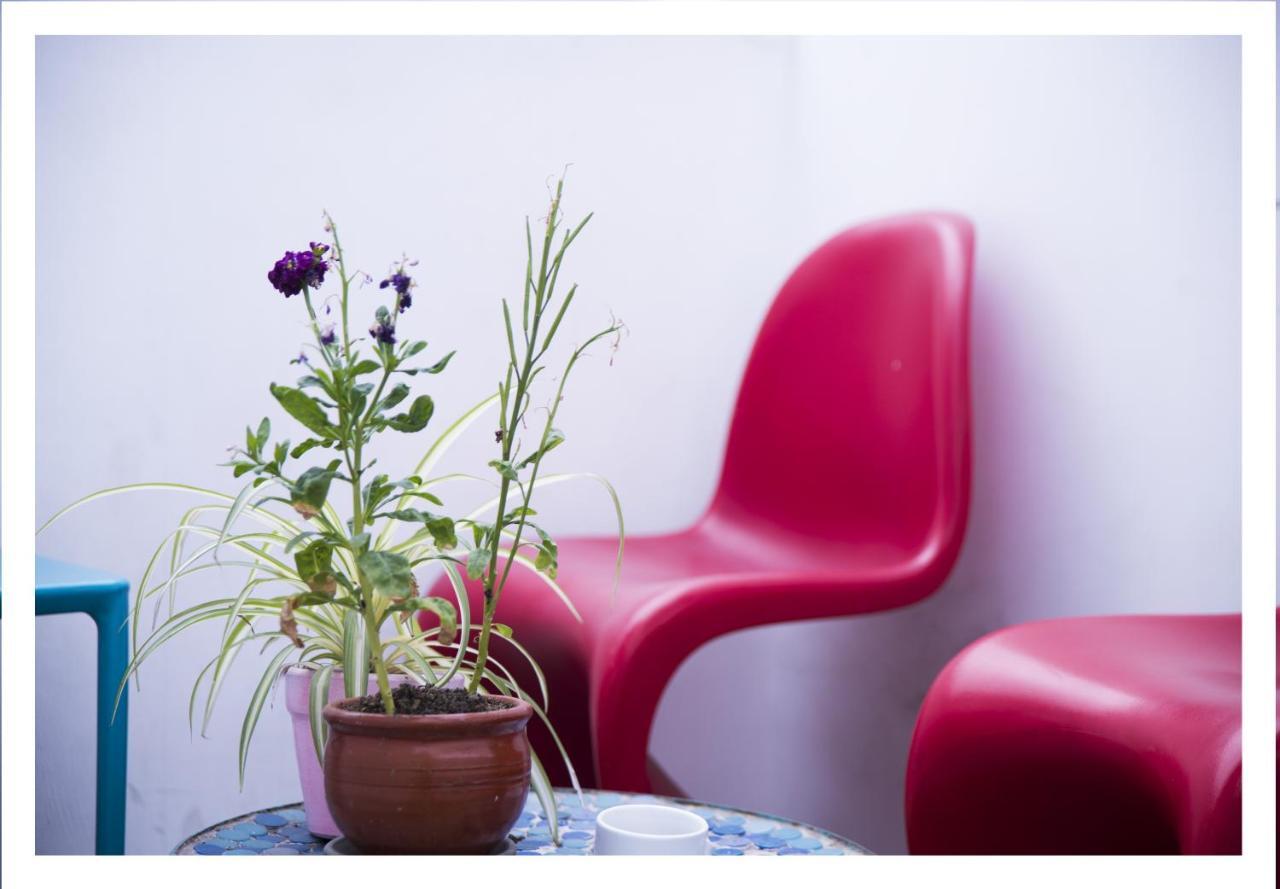 Red Llama Eco Hostel 利马 外观 照片