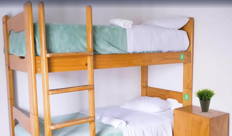 Red Llama Eco Hostel 利马 外观 照片